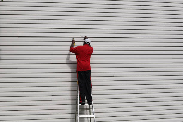 Best Brick Veneer Siding  in Redondo Beach, CA